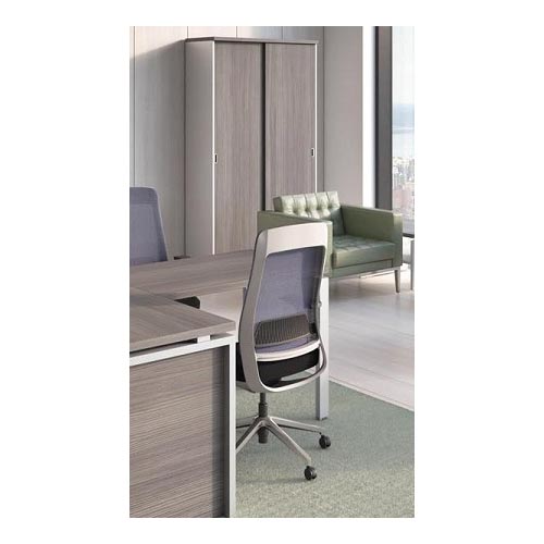 Шкаф-купе/ гардероб ФЛЭШ